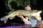 big_snake_stika_4-150x100-1.jpg