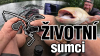 VIDEO: David si ulovil životní zážitek! 