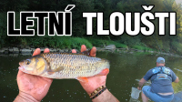 VIDEO: Lov tlouště přívlačí v létě | NASTRAHY.cz