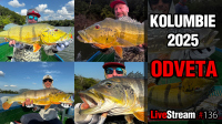 VIDEO: Ráj peacock bassů - Kolumbie 2025 - odveta | Přívlač Live #136