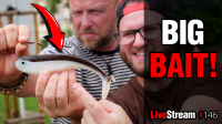 VIDEO: Big Bait! To je lov přívlačí na velké nástrahy | Přívlač Live #146 VIDEO: Big Bait! To je lov přívlačí na velké nástrahy | Přívlač Live #146