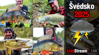 VIDEO: Švédsko 2025 | Lososi, rybaření, kempování a strašné počasí | Přívlač Live #148 VIDEO: Švédsko 2025 | Lososi, rybaření, kempování a strašné počasí | Přívlač Live #148