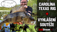 VIDEO: Carolína a Texas rig! | Snadné montáže s velkým potenciálem | Přívlač Live #151 VIDEO: Carolína a Texas rig! | Snadné montáže s velkým potenciálem | Přívlač Live #151