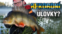 VIDEO: Chytili jsme nový osobák? - Jezero velkých okounů VIDEO: Chytili jsme nový osobák? - Jezero velkých okounů