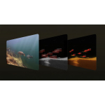 Nahazovací sonar Deeper Fishfinder Chirp+ 4