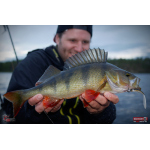 Smáček REDBASS ALS
