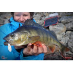 Smáček REDBASS ALS