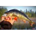 Smáček REDBASS ALS