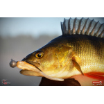 Smáček REDBASS ALS