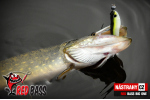 Velký smáček REDBASS BIG ONE 5
