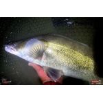 Velký smáček REDBASS BIG SNAKE XXL