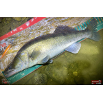 Velký smáček REDBASS BIG SNAKE XXL