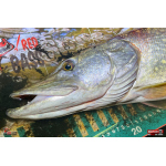 Velký smáček REDBASS BIG SNAKE XXL