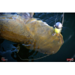 Velký smáček REDBASS BIG SNAKE XXL