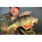 Cikáda Metal Vib Daiwa Prorex 3,8 cm, 7 g
