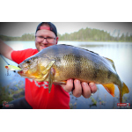 Cikáda Metal Vib Daiwa Prorex 3,8 cm, 7 g