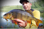 Cikáda Metal Vib Daiwa Prorex 5,5 cm, 21 g