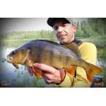 Cikáda Metal Vib Daiwa Prorex 3,8 cm, 7 g