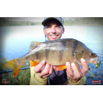 Cikáda Metal Vib Daiwa Prorex 3,8 cm, 7 g