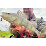 Cikáda Metal Vib Daiwa Prorex 3,8 cm, 7 g