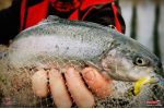 Jigstreamer Marabou REDBASS 5 g