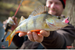 Jigstreamer Marabou REDBASS 5 g
