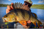 Ripper REDBASS KICKER S - 70 mm