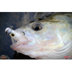 Ripper REDBASS KICKER XS - 42 mm