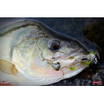Ripper REDBASS KICKER XS - 42 mm