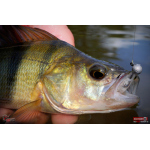Ripper REDBASS KICKER XS - 42 mm