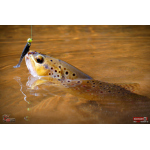Ripper REDBASS KICKER XS - 42 mm