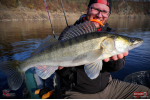 Ripper REDBASS KICKER XX - 155 mm