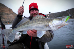 Ripper REDBASS KICKER XX - 155 mm