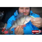 Zvýhodněná sada Streamer Marabou "Čeburaška"