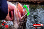 Ripper REDBASS MAGNETO L - 96 mm