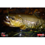 Ripper REDBASS MAGNETO XS - 53 mm
