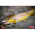 Ripper REDBASS MAGNETO XS - 53 mm