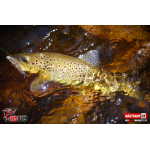 Ripper REDBASS MAGNETO XS - 53 mm