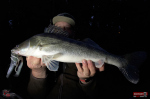 Nymfa REDBASS Nr. 1 XXL - 200 mm - 1 ks