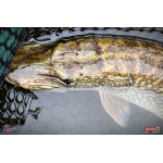 Nymfa REDBASS Nr. 1 XXL - 200 mm - 1 ks