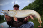 Nymfa REDBASS Nr. 1 XXL - 200 mm - 1 ks