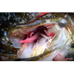Nymfa REDBASS Nr. 1 XXL - 200 mm - 1 ks