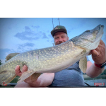 Nymfa REDBASS Nr. 1 XXL - 200 mm - 1 ks