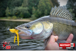 Nymfa REDBASS Nr. 1 L - 80 mm - 1 ks
