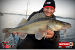 Nymfa REDBASS Nr. 1 L - 80 mm - 1 ks
