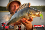 Zvýhodněná sada Streamer Marabou "Čeburaška"