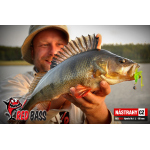 Nymfa REDBASS Nr. 1 L - 80 mm - balení 5 ks