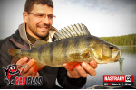 Zvýhodněná sada Streamer Marabou "Čeburaška"