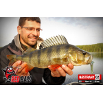 Nymfa REDBASS Nr. 1 L - 80 mm - balení 5 ks