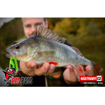 Nymfa REDBASS Nr. 1 L - 80 mm - balení 5 ks